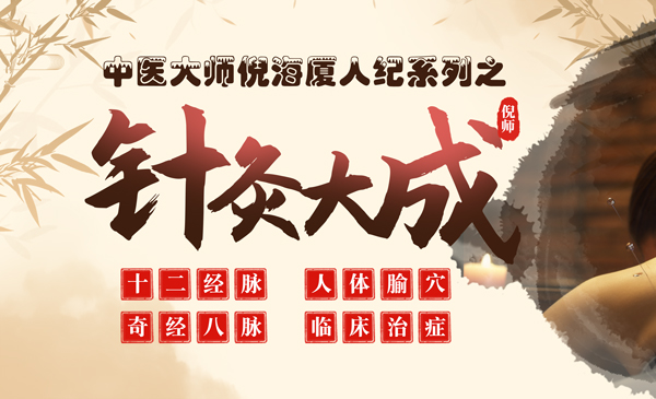 《针灸大成》字幕版